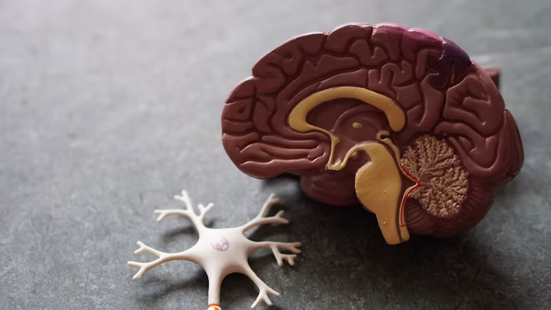 Scientific Research Visualization